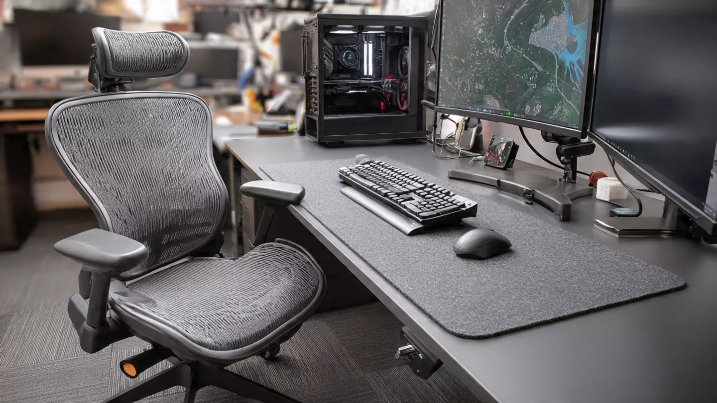 The Ergonomic Foundation Suppo 1776938339